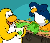 smoothie_smash _2