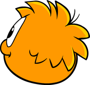 An Orange Puffle looking into the distance.