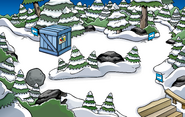 Puffle Party 2011 construction Forest