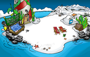 Save the Migrator Project Beach 2