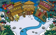 Town