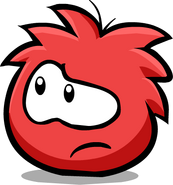 Red Puffle Curious
