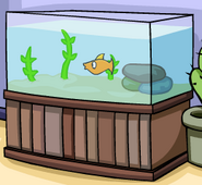 The fish tank that appeared in Gary's Room