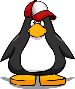 New Player Red Baseball Hat Club Penguin Wiki Fandom