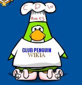 Behold! The Club Penguin Wiki accessories!