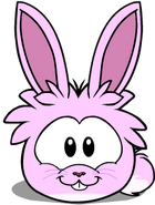 Puffle Conejo Rosa en el Juego