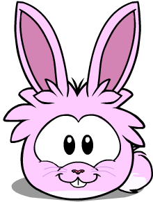 Puffle Conejo Rosa | Club Penguin Wiki | Fandom