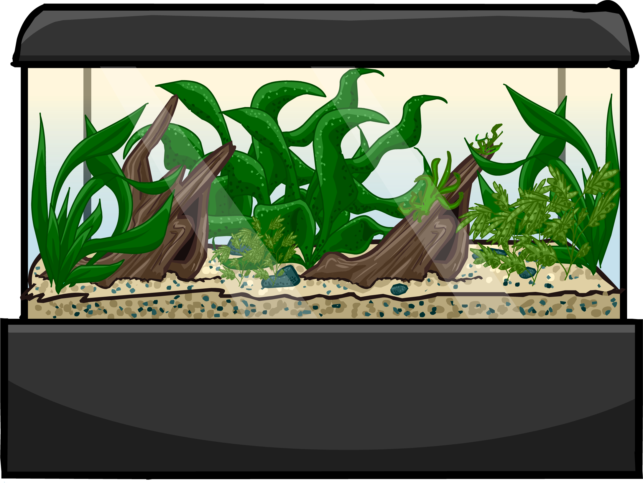 Large Aquarium, Club Penguin Wiki