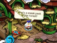 Sneak peek of the Forest