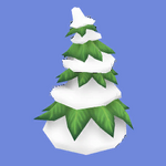 Medium Pine