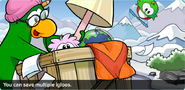 Aunt Arctic in issue #354 of the Club Penguin Times