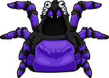 Purple Spider Costume