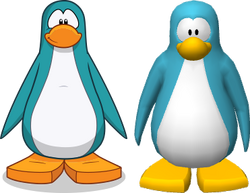 Player Card, Club Penguin Wiki