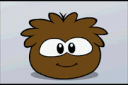 Brown Puffle when tickled