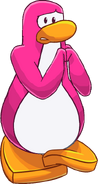 Pinguino Rosa4