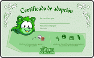 Certificado Mapache Verde