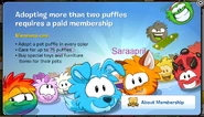 When a non-member tried to adopt more than two Puffles