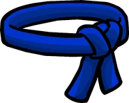The Blue Ninja Belt