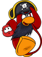 Rockhopper running.