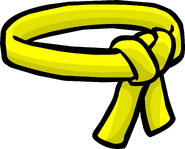 The Yellow Ninja Belt