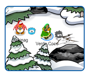 Black Puffle Digging