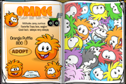 The Orange Puffle page in the Adopt A Pet catalog