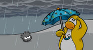 An image of the rain shown on the What's New Blog