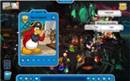 Rockhopper descubierto en esta isla.