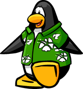 Cool Hawaiian Shirt, Club Penguin Rewritten Wiki