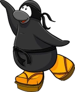 As seen in issue 172 of the Club Penguin Times, along with the Ninja Outfit and Geta Sandals