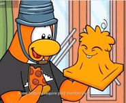 An Orange Puffle as seen in a video.