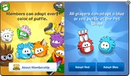 A membership warning about adopting puffles, if a non-member hadn't reached the maximum limit