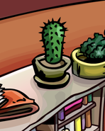 Oldcactus.png (67 KB) In the old Book Room
