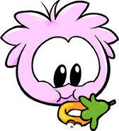 Pink Puffle26