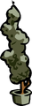 Spiral Coffee Tree
