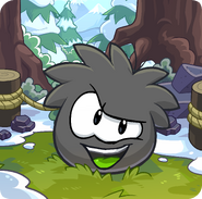 Black Puffle transformation card during Puffle Party 2014