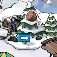 The pin located at the Beach