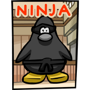 A ninja banner.