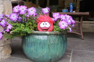 A red puffle plush in flowers