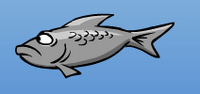 OneGreyFish