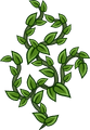Vines
