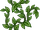 Vines