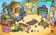 Pet Shop construction