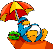As seen in issue 153 of the Club Penguin Times, along with the Red Sunglasses and Rectangle Rug