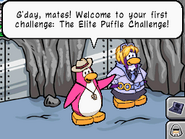 PH explaining the Elite Puffle challenge