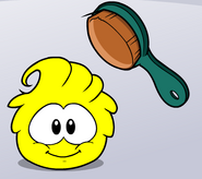 Yellow Puffle being brushed.