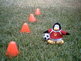 A penguin playing soccer.