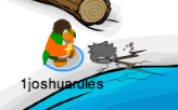 A Black Puffle breaking snow.