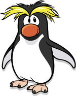 Rockhopper Penguin