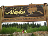 A penguin in Alaska